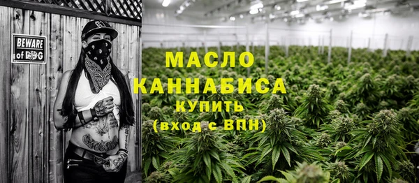 хмурый Новозыбков