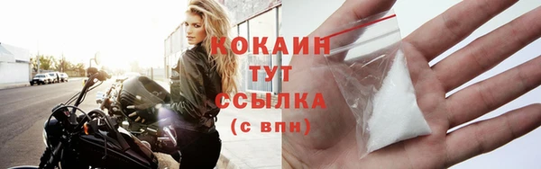 хмурый Новозыбков