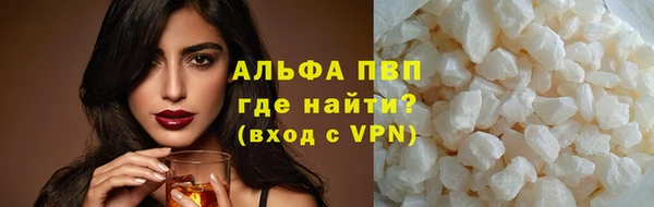 PSILOCYBIN Няндома