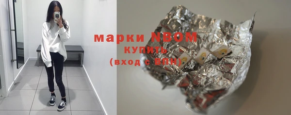 хмурый Новозыбков