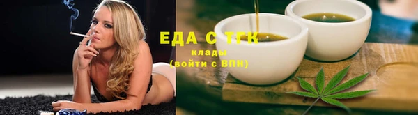 мдпв Шенкурск