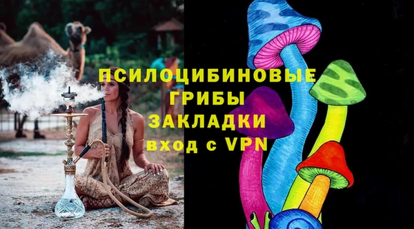 хмурый Новозыбков