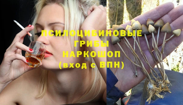 PSILOCYBIN Няндома