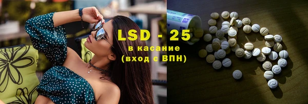 хмурый Новозыбков