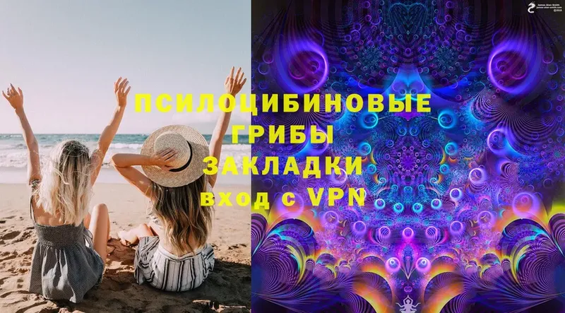 купить закладку  Туринск  Галлюциногенные грибы Cubensis 